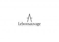 Logo Lebonsauvage