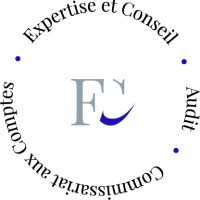 Logo France Consultant