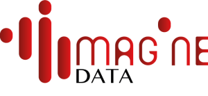 Logo Imagine Data Cmjn