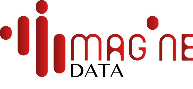 Logo Imagine Data Cmjn